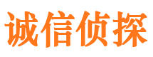 龙潭市侦探公司